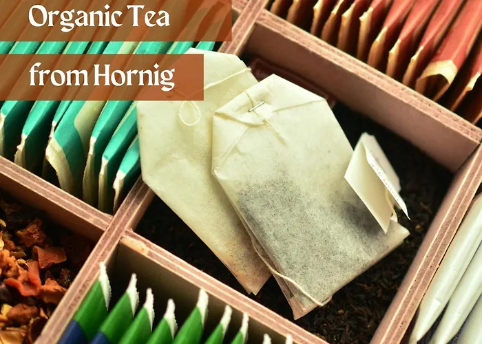 فندق Lava - 24 H Check-in - Naehe Lkh, Landeskrankenhaus,